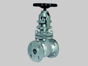 Alloy Steel Globe Valves - Parmar Steel