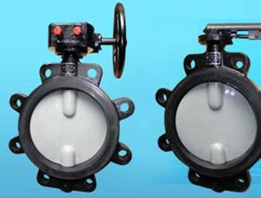 Carbon Steel Butterfly Valves - Parmar Steel