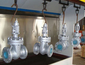 Duplex Steel Gate Valves - Parmar Steel