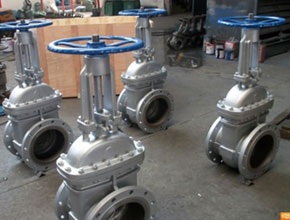 Stainless Steel Gate Valves - Parmar Steel