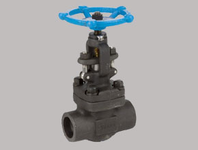 Carbon Steel Globe Valves - Parmar Steel