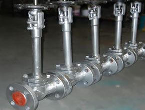 Duplex Steel Globe Valves - Parmar Steel