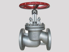 Hastelloy C22 Globe Valves - Parmar Steel