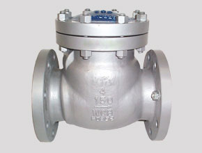 Hastelloy C276 Check Valves - Parmar Steel