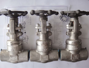 Monel Valves - Parmar Steel