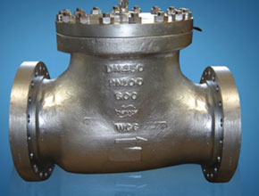 Nickel Alloy 201 Check Valves - Parmar Steel