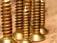 Phosphor Bronze Wood Screws - Parmar Steel