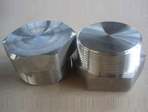 Stainless Steel Plug - Parmar Steel