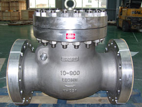 Stainless Steel 304 Check Valves - Parmar Steel