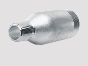 Stainless Steel Swage Nipples - Parmar Steel