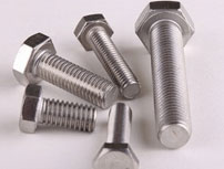 Ti Bolts - Parmar Steel