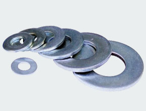 Duplex Steel Washers - Parmar Steel